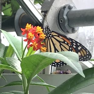 Meet your Posher, Jack